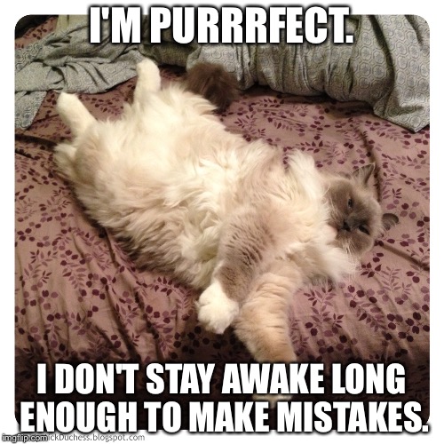 I'M PURRRFECT. I DON'T STAY AWAKE LONG ENOUGH TO MAKE MISTAKES. | image tagged in adhdmeme | made w/ Imgflip meme maker