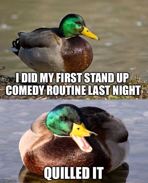 Bad Pun Duck | I DID MY FIRST STAND UP COMEDY ROUTINE LAST NIGHT; QUILLED IT | image tagged in bad pun duck | made w/ Imgflip meme maker