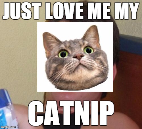 JUST LOVE ME MY CATNIP | made w/ Imgflip meme maker