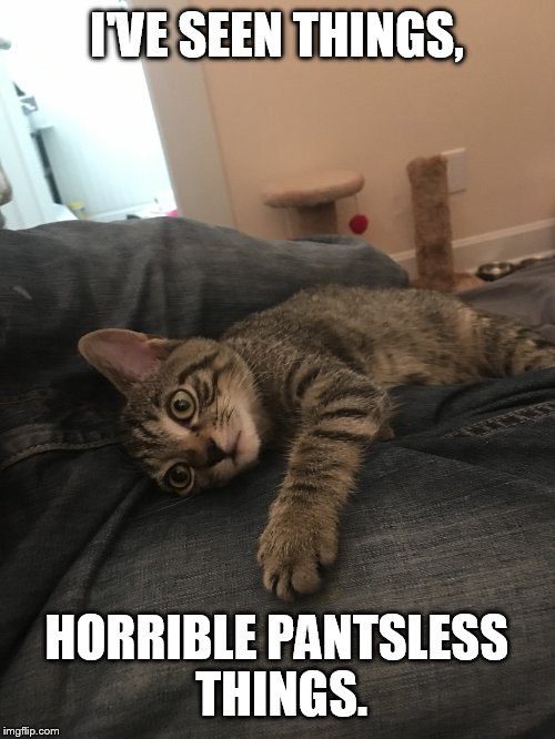 I'VE SEEN THINGS, HORRIBLE PANTSLESS THINGS. | made w/ Imgflip meme maker