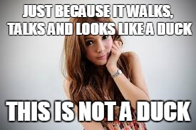 Ladyboy | JUST BECAUSE IT WALKS, TALKS AND LOOKS LIKE A DUCK; THIS IS NOT A DUCK | image tagged in lady,boy | made w/ Imgflip meme maker