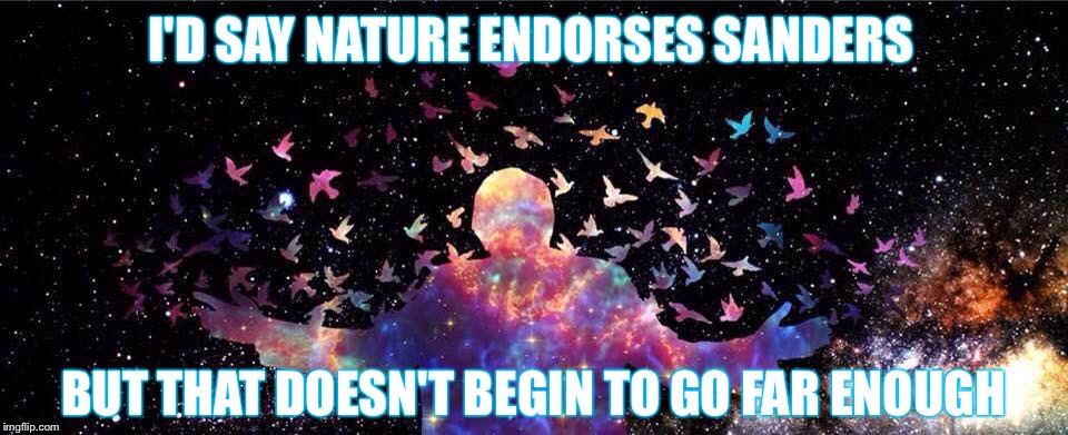 Doesn't Begin... | I'D SAY NATURE ENDORSES SANDERS; BUT THAT DOESN'T BEGIN TO GO FAR ENOUGH | image tagged in bernie sanders,nature,endorse,universe,god | made w/ Imgflip meme maker