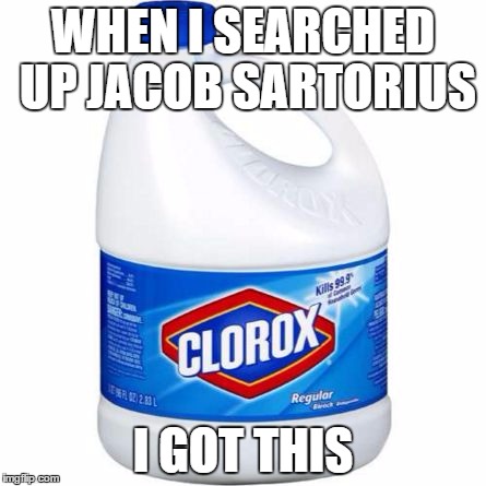 bleach | WHEN I SEARCHED UP JACOB SARTORIUS; I GOT THIS | image tagged in bleach | made w/ Imgflip meme maker
