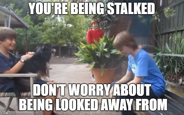 Skits, Bits and Nits | YOU'RE BEING STALKED; DON'T WORRY ABOUT BEING LOOKED AWAY FROM | image tagged in stalkers,sbn,memes,stop looking away from me | made w/ Imgflip meme maker