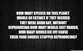 HOW MANY SPECIES ON THIS PLANET WOULD GO EXTINCT IF THEY DECIDED THEY WERE BORN GAY, WITHOUT REPRODUCING HOW MANY WOULD JUST VANISH, HOW MANY WOULD DIE OFF CAUSE THEIR FOOD SOURCE STOPPED REPRODUCING? | image tagged in curious,who cares,why | made w/ Imgflip meme maker