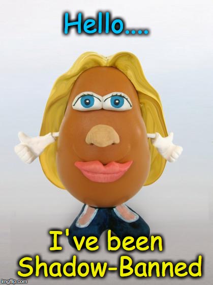 The fix is in for the Hillary Potato Head | Hello.... I've been Shadow-Banned | image tagged in potato head hillary | made w/ Imgflip meme maker