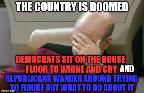 I seem to remember someone saying "elections have consequences". I'm pretty sure no one had this in mind. | THE COUNTRY IS DOOMED; DEMOCRATS SIT ON THE HOUSE FLOOR TO WHINE AND CRY; AND; REPUBLICANS WANDER AROUND TRYING TO FIGURE OUT WHAT TO DO ABOUT IT | image tagged in memes,captain picard facepalm | made w/ Imgflip meme maker