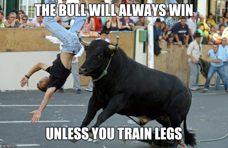 Bull gets horny  | THE BULL WILL ALWAYS WIN; UNLESS YOU TRAIN LEGS | image tagged in gym,squats,comedy | made w/ Imgflip meme maker