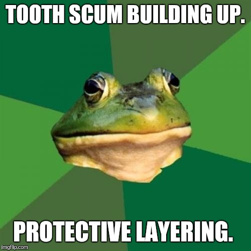 Foul Bachelor Frog | TOOTH SCUM BUILDING UP. PROTECTIVE LAYERING. | image tagged in memes,foul bachelor frog | made w/ Imgflip meme maker