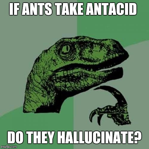 Philosoraptor Meme | IF ANTS TAKE ANTACID; DO THEY HALLUCINATE? | image tagged in memes,philosoraptor | made w/ Imgflip meme maker