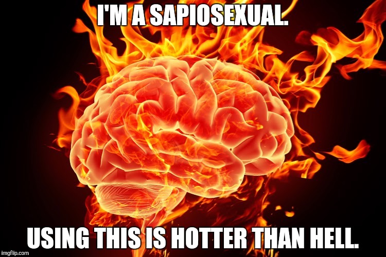 Sapiosexuals | I'M A SAPIOSEXUAL. USING THIS IS HOTTER THAN HELL. | image tagged in hot brain turn on | made w/ Imgflip meme maker