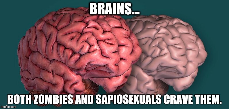 Brains... | BRAINS... BOTH ZOMBIES AND SAPIOSEXUALS CRAVE THEM. | image tagged in zombies sapiosexuals crave | made w/ Imgflip meme maker