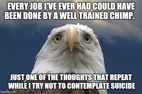 Sad American Eagle |  EVERY JOB I'VE EVER HAD COULD HAVE BEEN DONE BY A WELL TRAINED CHIMP. JUST ONE OF THE THOUGHTS THAT REPEAT WHILE I TRY NOT TO CONTEMPLATE SUICIDE | image tagged in sad american eagle | made w/ Imgflip meme maker