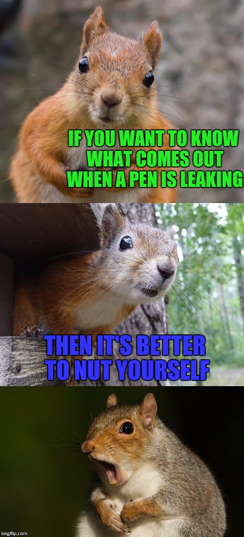 Nut a very handy job | IF YOU WANT TO KNOW WHAT COMES OUT WHEN A PEN IS LEAKING; THEN IT'S BETTER TO NUT YOURSELF | image tagged in bad pun squirrel,nuts,memes | made w/ Imgflip meme maker
