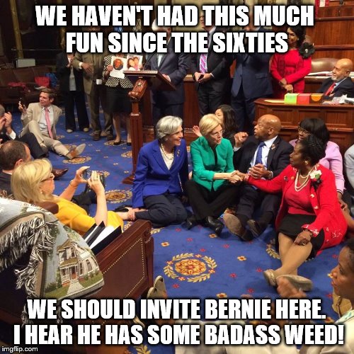 The House 'Sit In': What they're saying when the mic is off | WE HAVEN'T HAD THIS MUCH FUN SINCE THE SIXTIES; WE SHOULD INVITE BERNIE HERE. I HEAR HE HAS SOME BADASS WEED! | image tagged in house sit 101,memes,election 2016,gun control,clinton vs trump civil war,weed | made w/ Imgflip meme maker