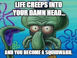 SquidLife | LIFE CREEPS INTO YOUR DAMN HEAD... AND YOU BECOME A SQUIDWARD. | image tagged in done,squidward | made w/ Imgflip meme maker