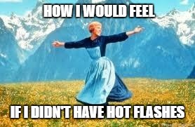 Hot Flashes anyone? | HOW I WOULD FEEL; IF I DIDN'T HAVE HOT FLASHES | image tagged in memes | made w/ Imgflip meme maker