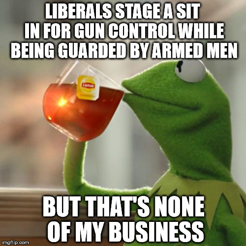 Liberal Logic #3457B | LIBERALS STAGE A SIT IN FOR GUN CONTROL WHILE BEING GUARDED BY ARMED MEN; BUT THAT'S NONE OF MY BUSINESS | image tagged in memes,but thats none of my business,kermit the frog,gun control,liberal logic,trump 2016 | made w/ Imgflip meme maker