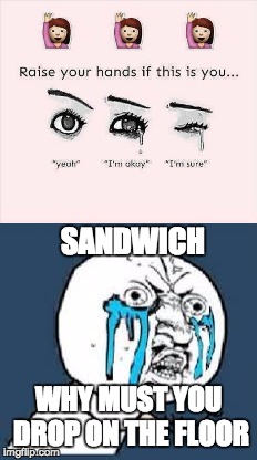 Ya'll know it's true | SANDWICH; WHY MUST YOU DROP ON THE FLOOR | image tagged in crying,sandwich,memes,drop,floor,why you no_guy | made w/ Imgflip meme maker