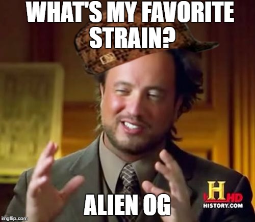 Ancient Aliens Meme | WHAT'S MY FAVORITE STRAIN? ALIEN OG | image tagged in memes,ancient aliens,scumbag | made w/ Imgflip meme maker