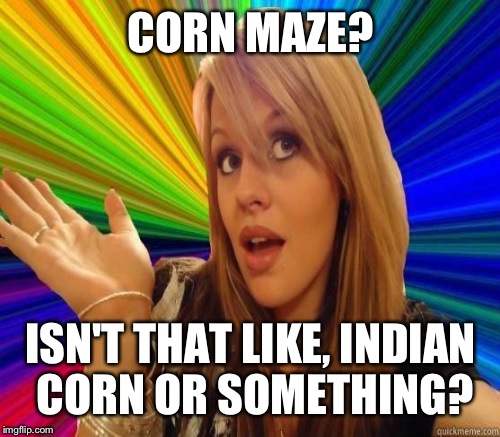 CORN MAZE? ISN'T THAT LIKE, INDIAN CORN OR SOMETHING? | made w/ Imgflip meme maker