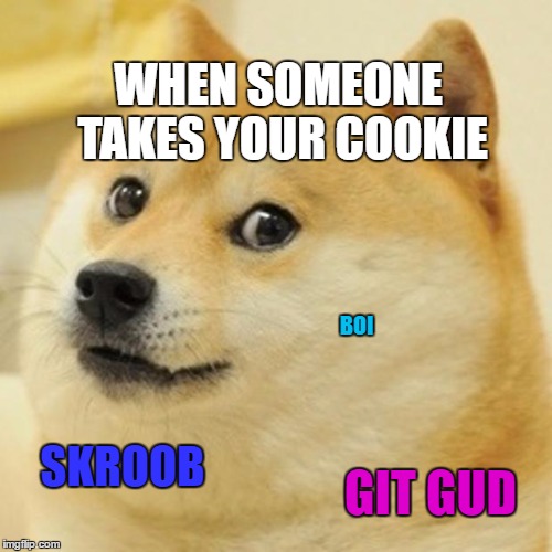 Doge |  WHEN SOMEONE TAKES YOUR COOKIE; BOI; SKROOB; GIT GUD | image tagged in memes,doge | made w/ Imgflip meme maker