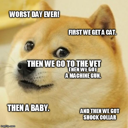 Doge Meme | WORST DAY EVER! FIRST WE GET A CAT. THEN WE GO TO THE VET; THEN WE GOT A MACHINE GUN. THEN A BABY. AND THEN WE GOT SHOCK COLLAR | image tagged in memes,doge | made w/ Imgflip meme maker