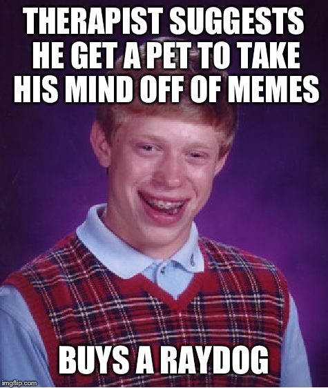Bad Luck Brian Meme | THERAPIST SUGGESTS HE GET A PET TO TAKE HIS MIND OFF OF MEMES BUYS A RAYDOG | image tagged in memes,bad luck brian | made w/ Imgflip meme maker