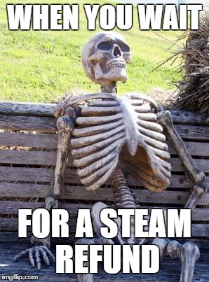 Waiting Skeleton Meme | WHEN YOU WAIT; FOR A STEAM REFUND | image tagged in memes,waiting skeleton | made w/ Imgflip meme maker