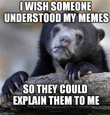 Confession Bear Meme | I WISH SOMEONE UNDERSTOOD MY MEMES; SO THEY COULD EXPLAIN THEM TO ME | image tagged in memes,confession bear | made w/ Imgflip meme maker