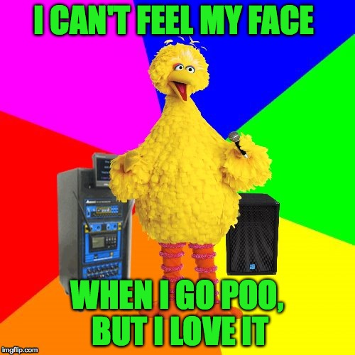 Wrong lyrics karaoke big bird | I CAN'T FEEL MY FACE; WHEN I GO POO, BUT I LOVE IT | image tagged in wrong lyrics karaoke big bird,memes,funny,lol,jokes,poop | made w/ Imgflip meme maker