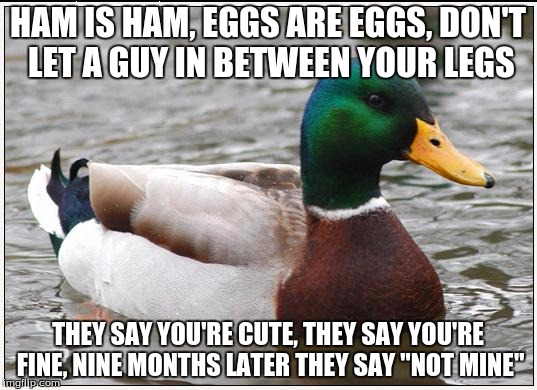 I'm not sure if this is actually advice, but whatever. :D | HAM IS HAM, EGGS ARE EGGS, DON'T LET A GUY IN BETWEEN YOUR LEGS; THEY SAY YOU'RE CUTE, THEY SAY YOU'RE FINE, NINE MONTHS LATER THEY SAY "NOT MINE" | image tagged in memes,actual advice mallard | made w/ Imgflip meme maker