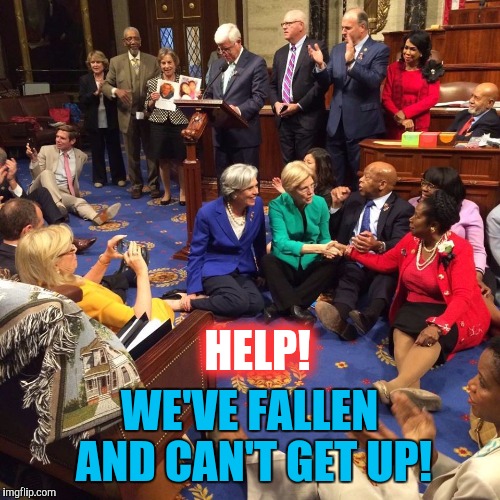 Asshats in need of Assistance  | HELP! WE'VE FALLEN AND CAN'T GET UP! | image tagged in house sit 101 | made w/ Imgflip meme maker