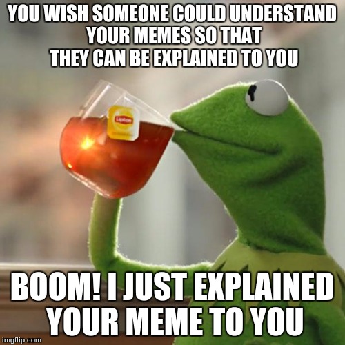 But That's None Of My Business Meme | YOU WISH SOMEONE COULD UNDERSTAND YOUR MEMES SO THAT THEY CAN BE EXPLAINED TO YOU BOOM! I JUST EXPLAINED YOUR MEME TO YOU | image tagged in memes,but thats none of my business,kermit the frog | made w/ Imgflip meme maker