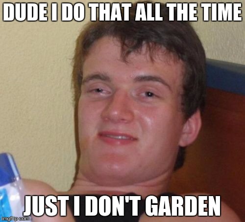 10 Guy Meme | DUDE I DO THAT ALL THE TIME JUST I DON'T GARDEN | image tagged in memes,10 guy | made w/ Imgflip meme maker