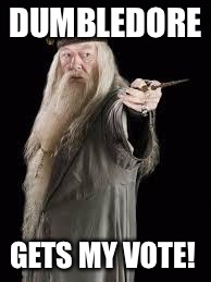 Dumbledore | DUMBLEDORE; GETS MY VOTE! | image tagged in dumbledore | made w/ Imgflip meme maker