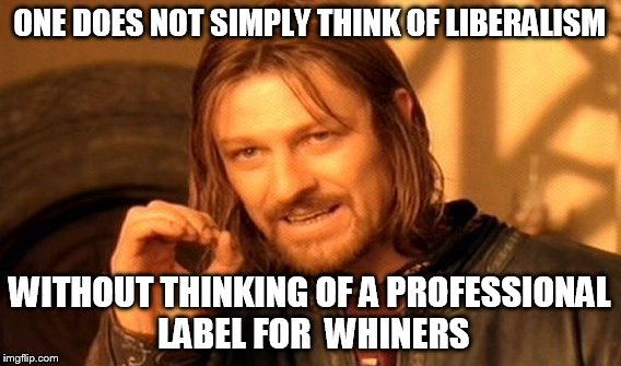 One Does Not Simply Meme | ONE DOES NOT SIMPLY THINK OF LIBERALISM WITHOUT THINKING OF A PROFESSIONAL LABEL FOR  WHINERS | image tagged in memes,one does not simply | made w/ Imgflip meme maker