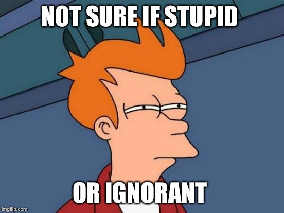 Futurama Fry | NOT SURE IF STUPID; OR IGNORANT | image tagged in memes,futurama fry | made w/ Imgflip meme maker
