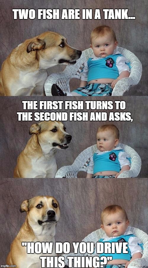 Dad Joke Dog | TWO FISH ARE IN A TANK... THE FIRST FISH TURNS TO THE SECOND FISH AND ASKS, "HOW DO YOU DRIVE THIS THING?" | image tagged in memes,dad joke dog | made w/ Imgflip meme maker