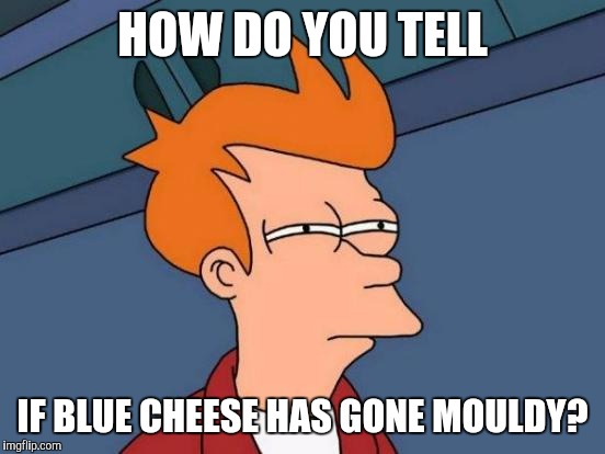 Blue cheese | HOW DO YOU TELL; IF BLUE CHEESE HAS GONE MOULDY? | image tagged in memes,futurama fry,cheese | made w/ Imgflip meme maker