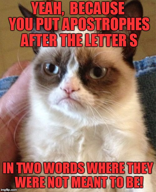 Grumpy Cat Meme | YEAH,  BECAUSE YOU PUT APOSTROPHES AFTER THE LETTER S IN TWO WORDS WHERE THEY WERE NOT MEANT TO BE! | image tagged in memes,grumpy cat | made w/ Imgflip meme maker