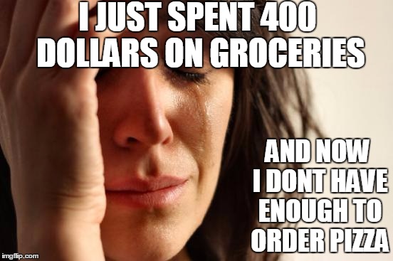 First World Problems | I JUST SPENT 400 DOLLARS ON GROCERIES; AND NOW I DONT HAVE ENOUGH TO ORDER PIZZA | image tagged in memes,first world problems | made w/ Imgflip meme maker
