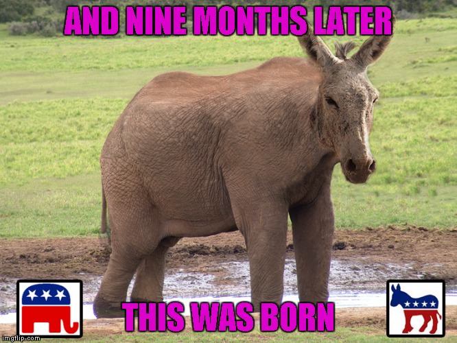 AND NINE MONTHS LATER THIS WAS BORN | made w/ Imgflip meme maker
