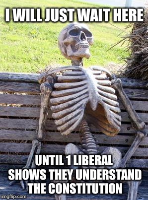 Waiting Skeleton Meme | I WILL JUST WAIT HERE UNTIL 1 LIBERAL SHOWS THEY UNDERSTAND THE CONSTITUTION | image tagged in memes,waiting skeleton | made w/ Imgflip meme maker