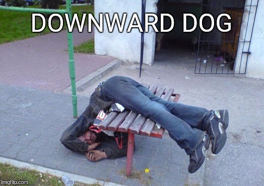 Drunk People 5 | DOWNWARD DOG | image tagged in drunk people 5 | made w/ Imgflip meme maker