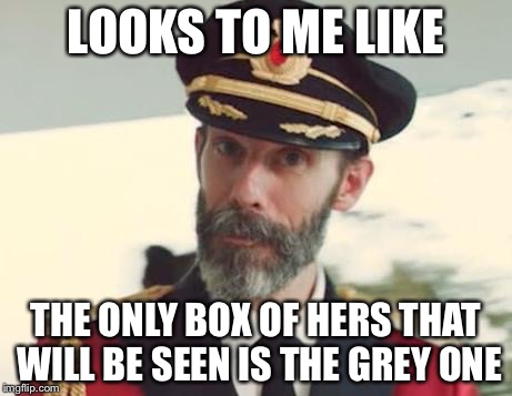 LOOKS TO ME LIKE THE ONLY BOX OF HERS THAT WILL BE SEEN IS THE GREY ONE | made w/ Imgflip meme maker