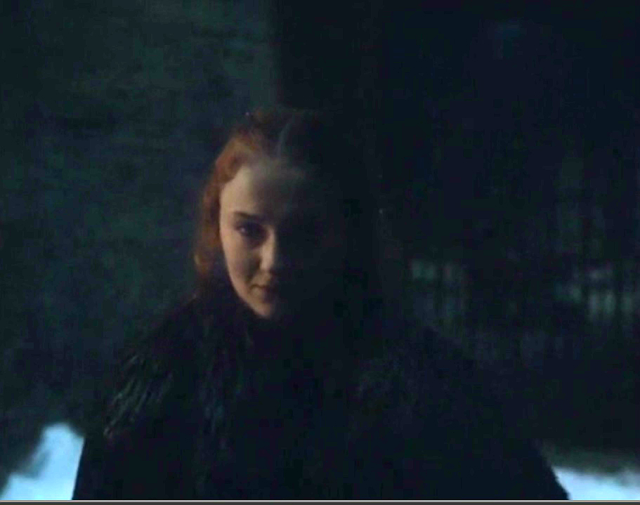 Sansa Stark Smirk Blank Meme Template