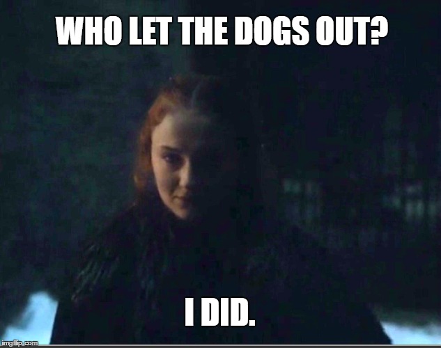 Sansa Stark Smirk | WHO LET THE DOGS OUT? I DID. | image tagged in sansa stark smirk | made w/ Imgflip meme maker