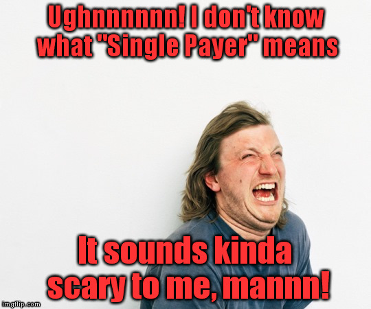 Hysterical Man Scared | Ughnnnnnn! I don't know what "Single Payer" means It sounds kinda scary to me, mannn! | image tagged in hysterical man scared | made w/ Imgflip meme maker