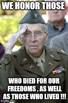 Vet Salute | WE HONOR THOSE; WHO DIED FOR OUR FREEDOMS , AS WELL AS THOSE WHO LIVED !!! | image tagged in vet salute | made w/ Imgflip meme maker